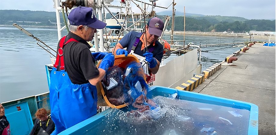 Fishermen in the Tohoku region of Japan offload octopus catch from their fishing boat in Shichigahama, Japan.
